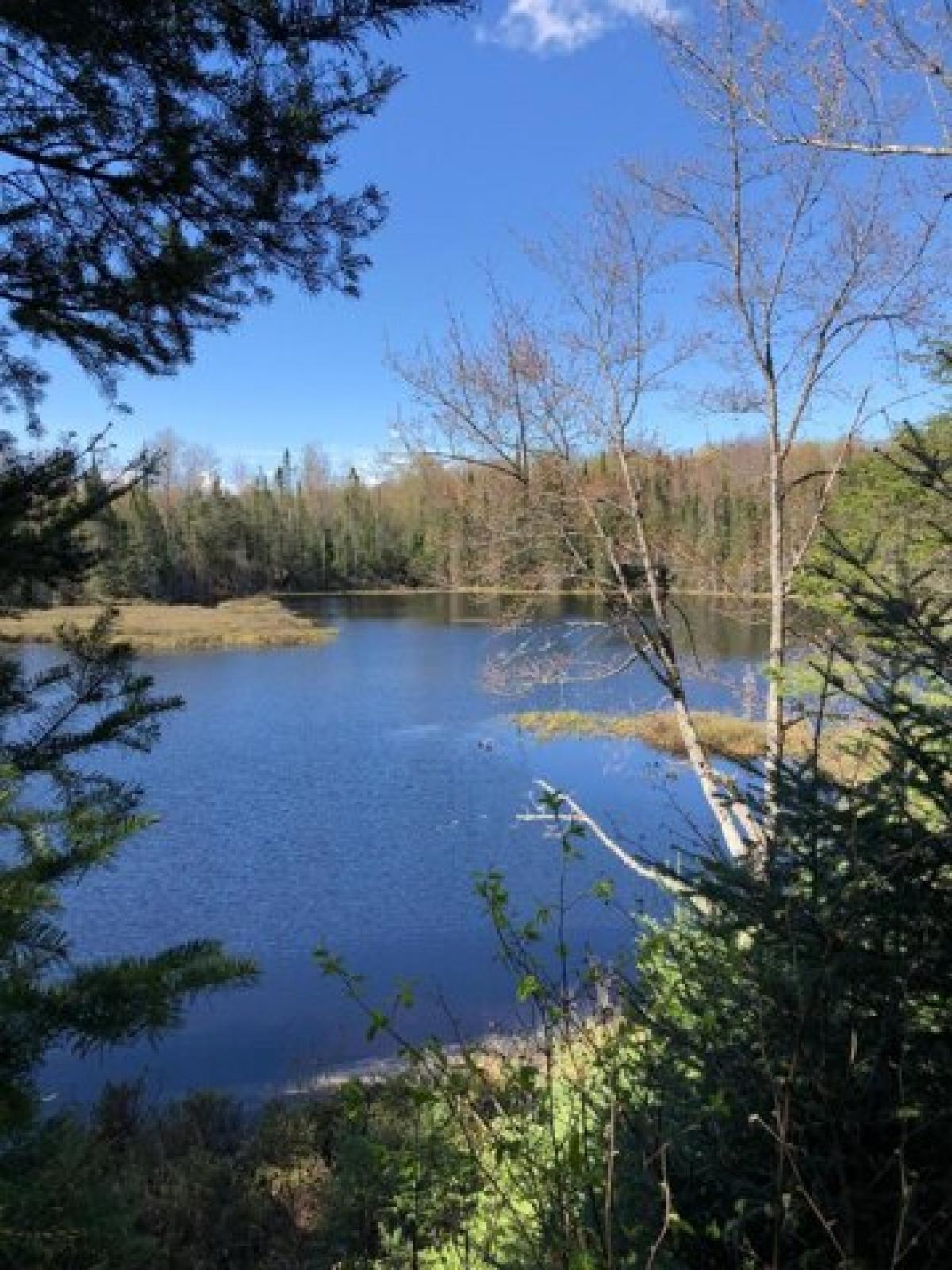 Picture of Residential Land For Sale in Presque Isle, Wisconsin, United States