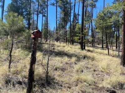 Residential Land For Sale in Alpine, Arizona