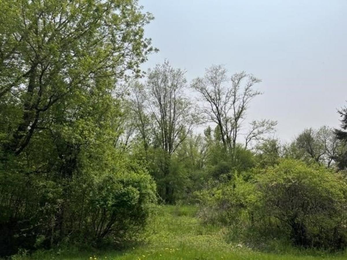 Picture of Residential Land For Sale in Omro, Wisconsin, United States