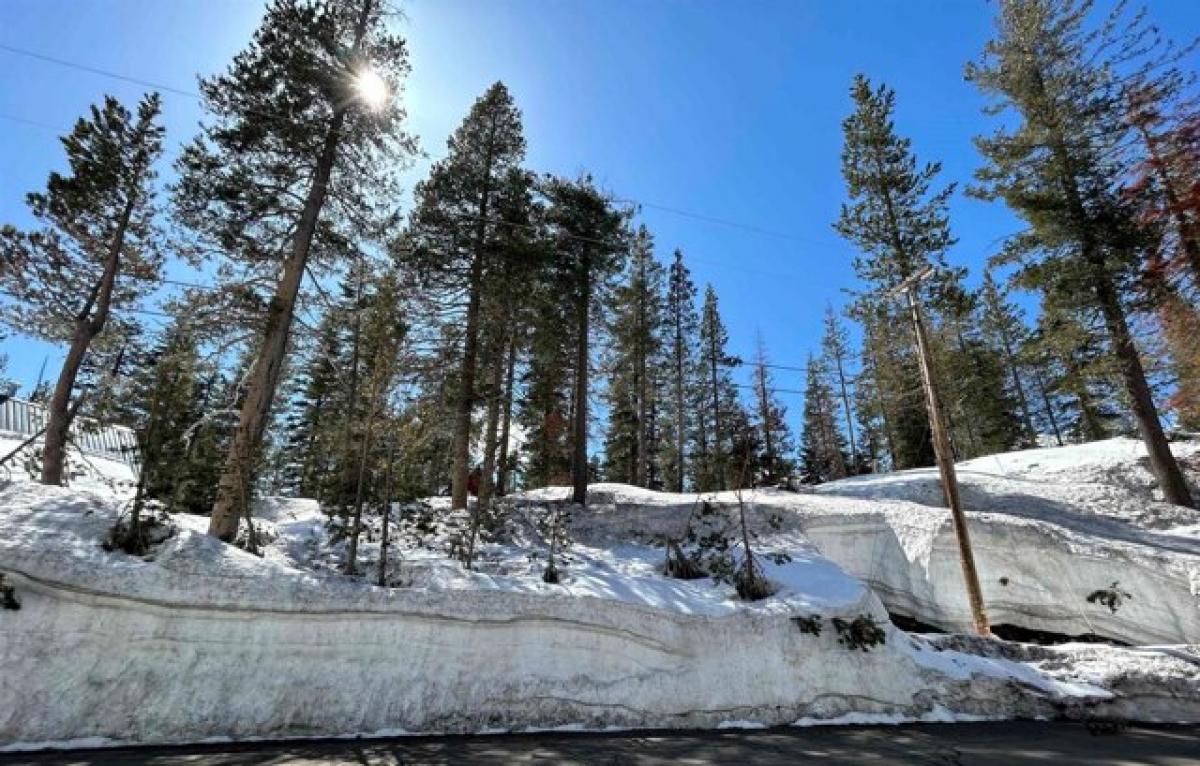 Picture of Residential Land For Sale in Soda Springs, California, United States