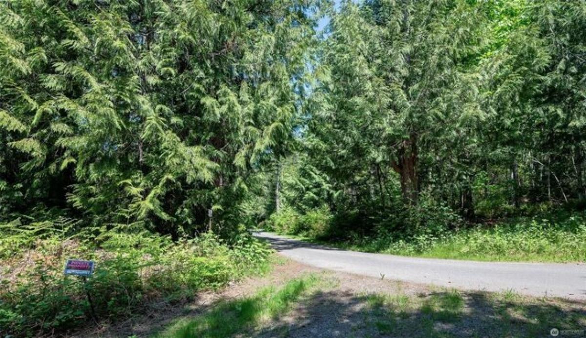 Picture of Residential Land For Sale in Silverdale, Washington, United States