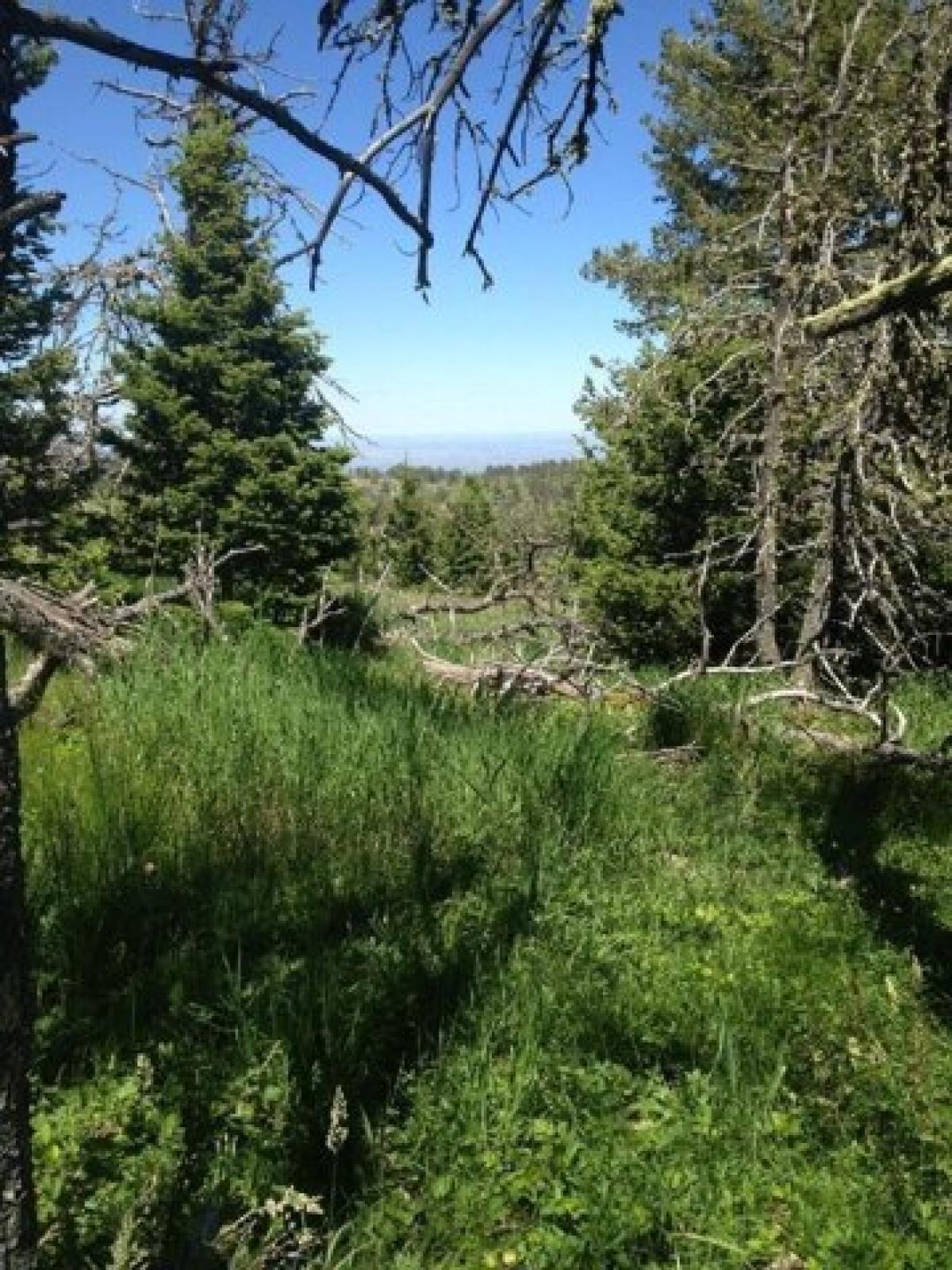 Picture of Residential Land For Sale in Big Horn, Wyoming, United States