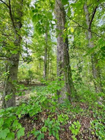 Residential Land For Sale in Clifton Forge, Virginia