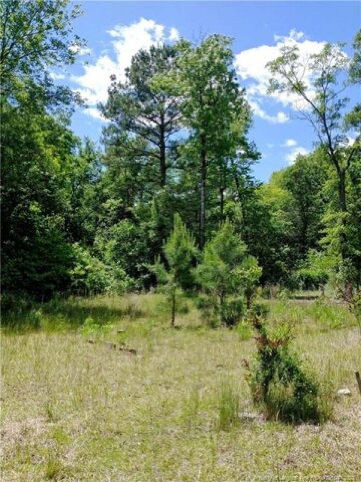 Picture of Residential Land For Sale in Clinton, North Carolina, United States