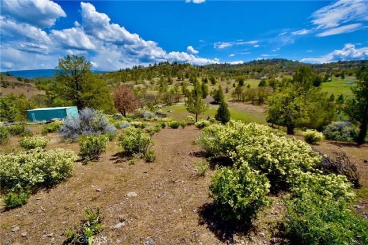 Picture of Residential Land For Sale in Montague, California, United States