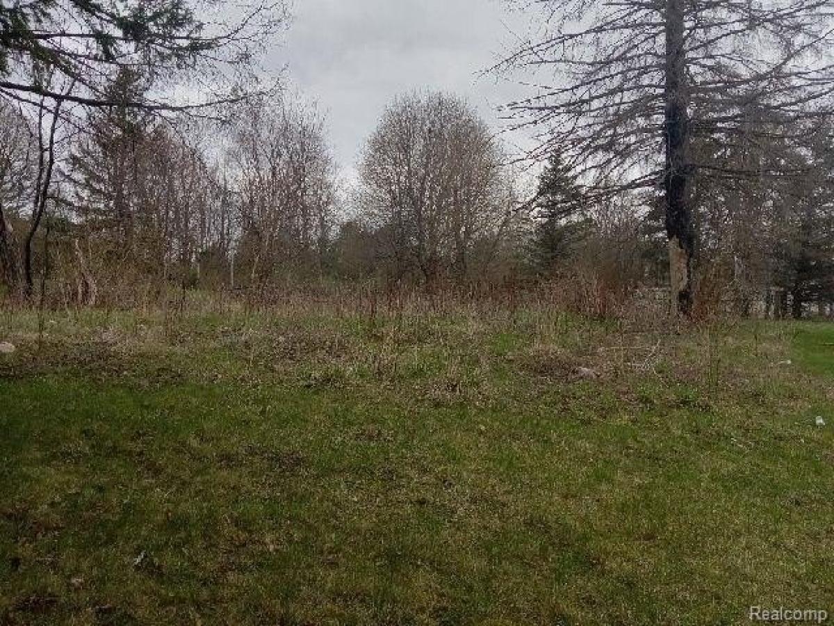 Picture of Residential Land For Sale in Onaway, Michigan, United States