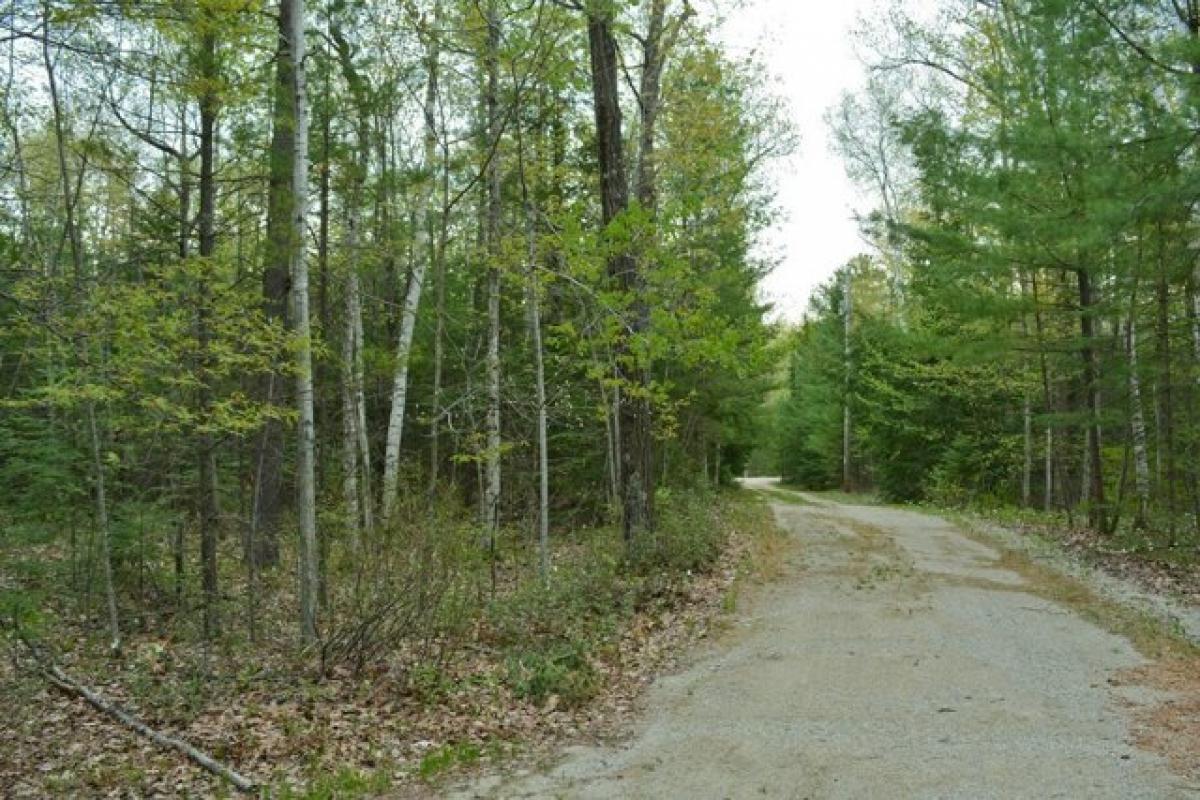 Picture of Residential Land For Sale in Egg Harbor, Wisconsin, United States