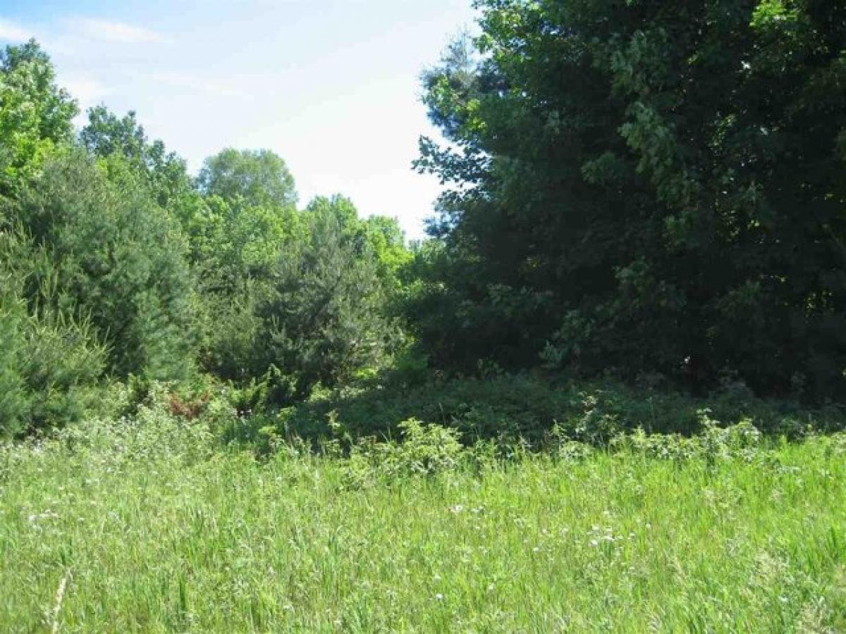 Picture of Residential Land For Sale in Boyne City, Michigan, United States