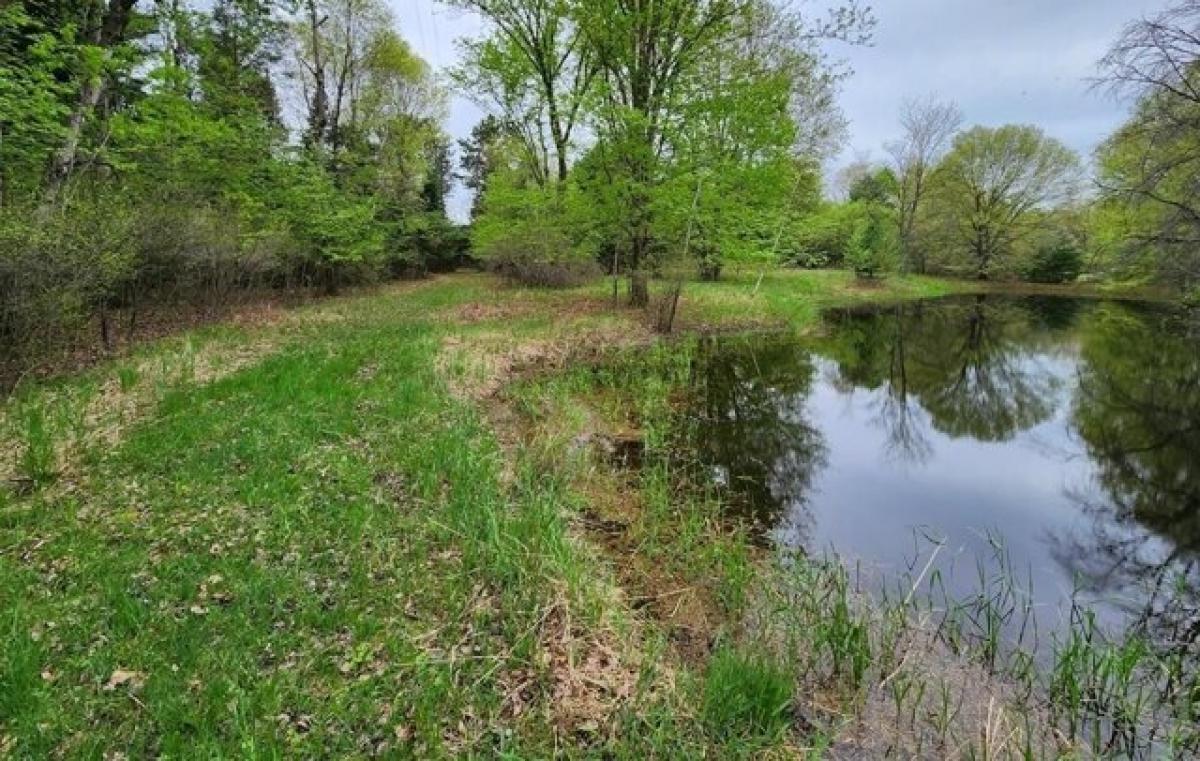 Picture of Residential Land For Sale in Neshkoro, Wisconsin, United States