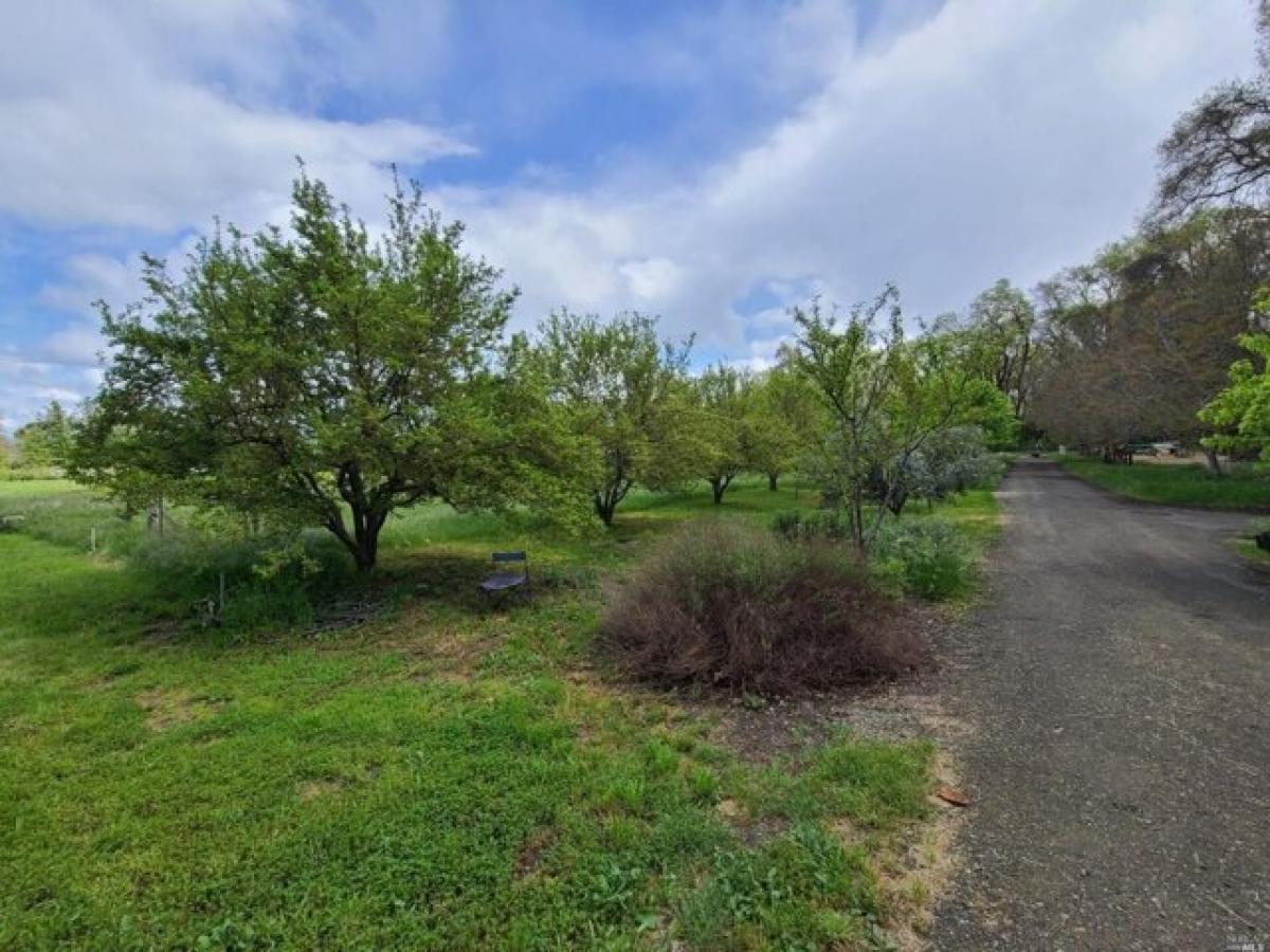 Picture of Home For Sale in Covelo, California, United States
