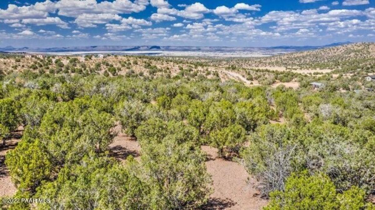 Picture of Residential Land For Sale in Chino Valley, Arizona, United States