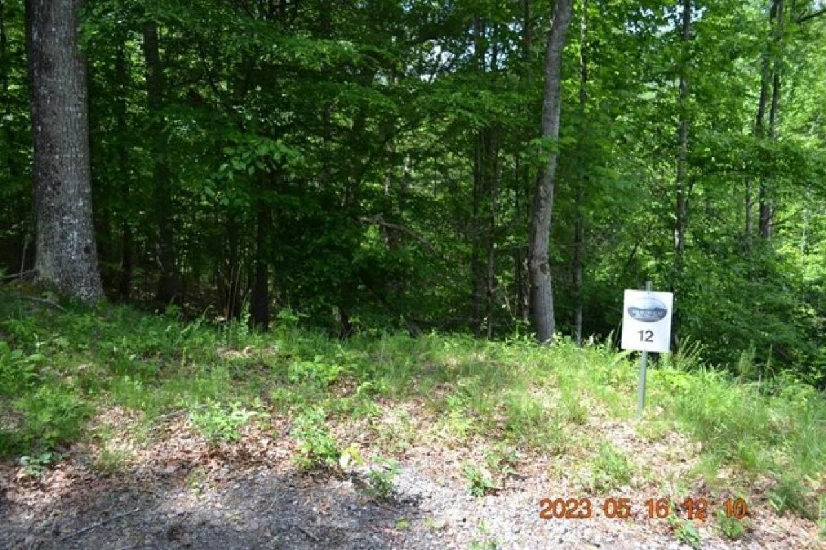 Picture of Residential Land For Sale in Franklin, North Carolina, United States