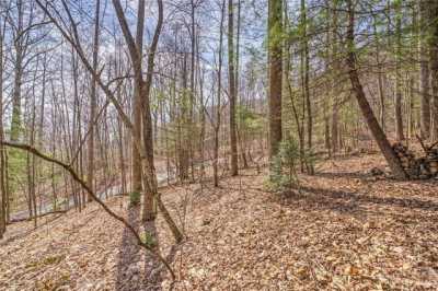 Residential Land For Sale in Gerton, North Carolina