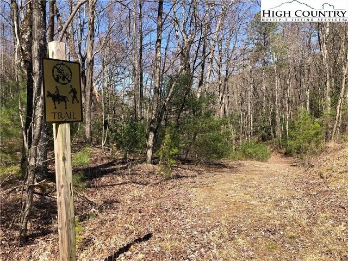 Picture of Residential Land For Sale in McGrady, North Carolina, United States