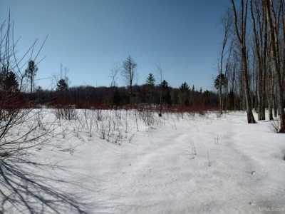 Residential Land For Sale in Skandia, Michigan