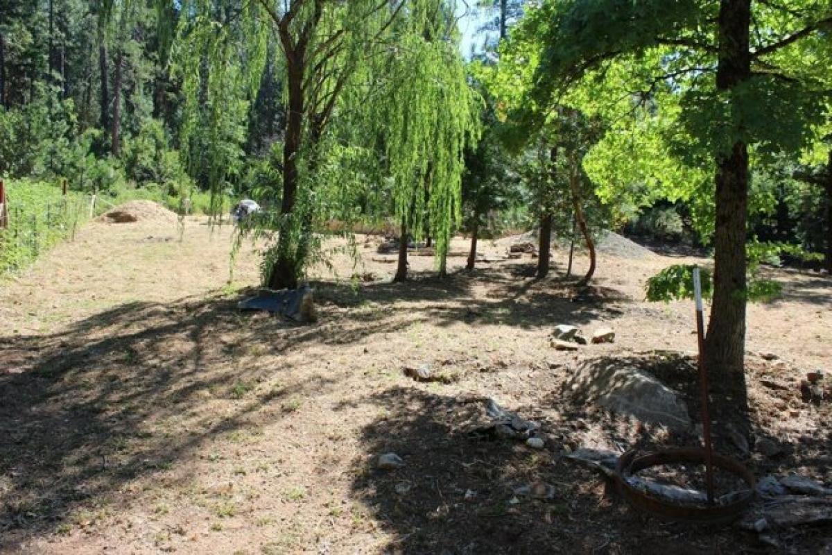 Picture of Residential Land For Sale in Challenge, California, United States