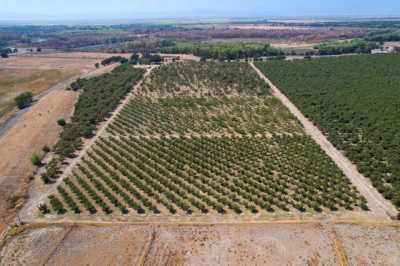 Residential Land For Sale in Colusa, California