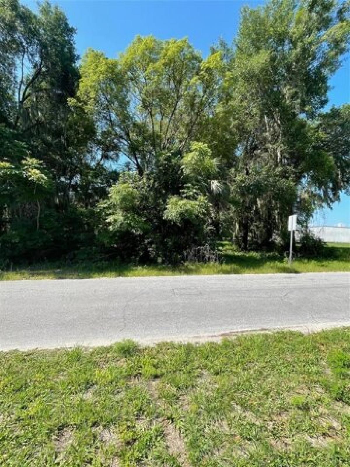 Picture of Residential Land For Sale in Umatilla, Florida, United States