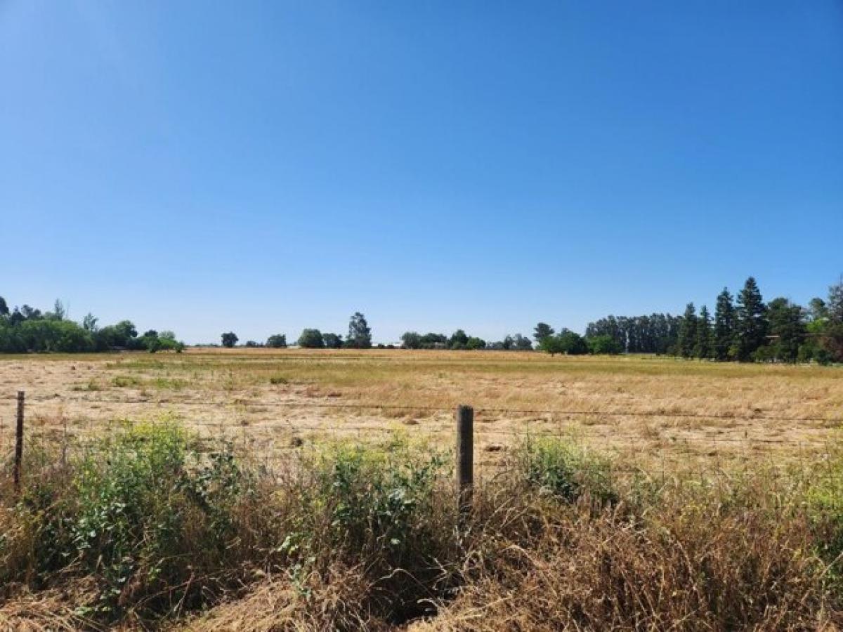Picture of Residential Land For Sale in Fresno, California, United States