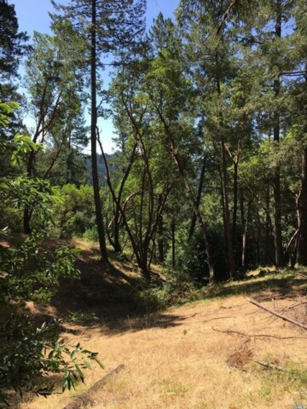 Picture of Residential Land For Sale in Guerneville, California, United States