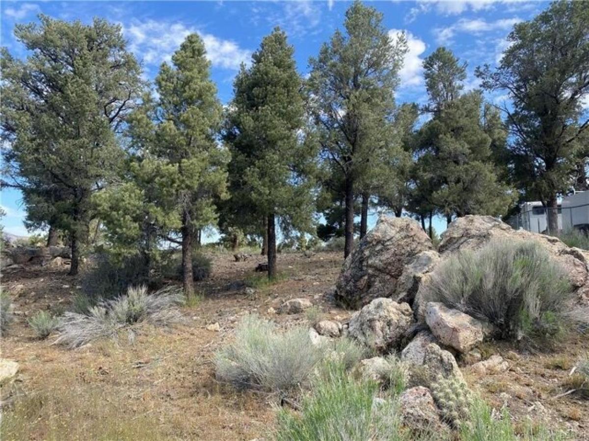 Picture of Residential Land For Sale in Big Bear City, California, United States