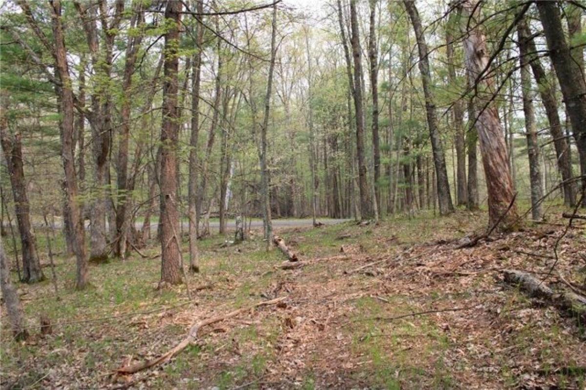Picture of Residential Land For Sale in Danbury, Wisconsin, United States