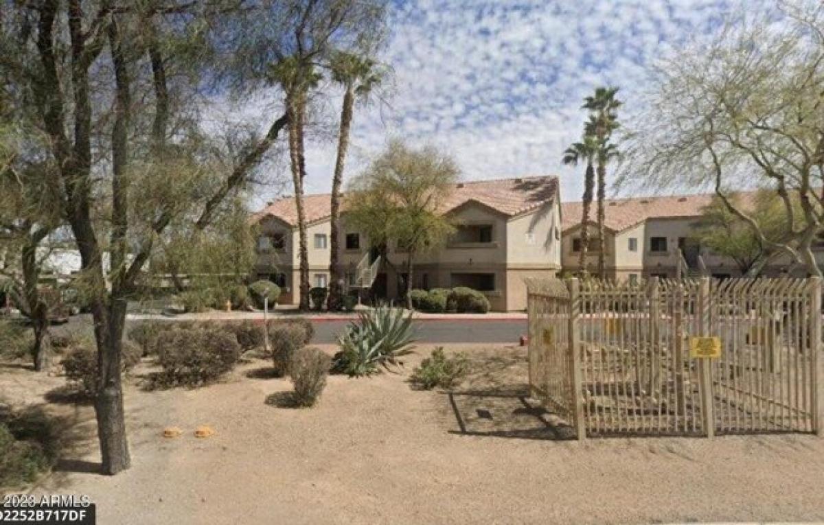 Picture of Apartment For Rent in Chandler, Arizona, United States