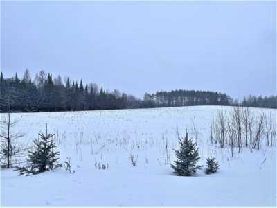 Residential Land For Sale in Wallace, Michigan