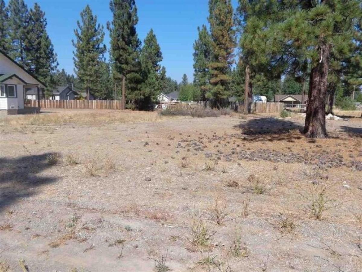 Picture of Residential Land For Sale in Chester, California, United States