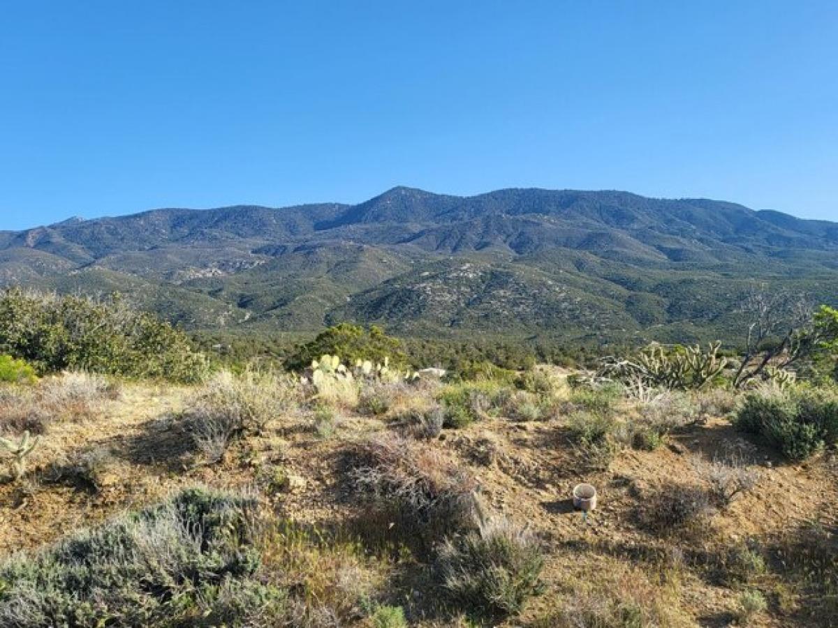 Picture of Residential Land For Sale in Mountain Center, California, United States