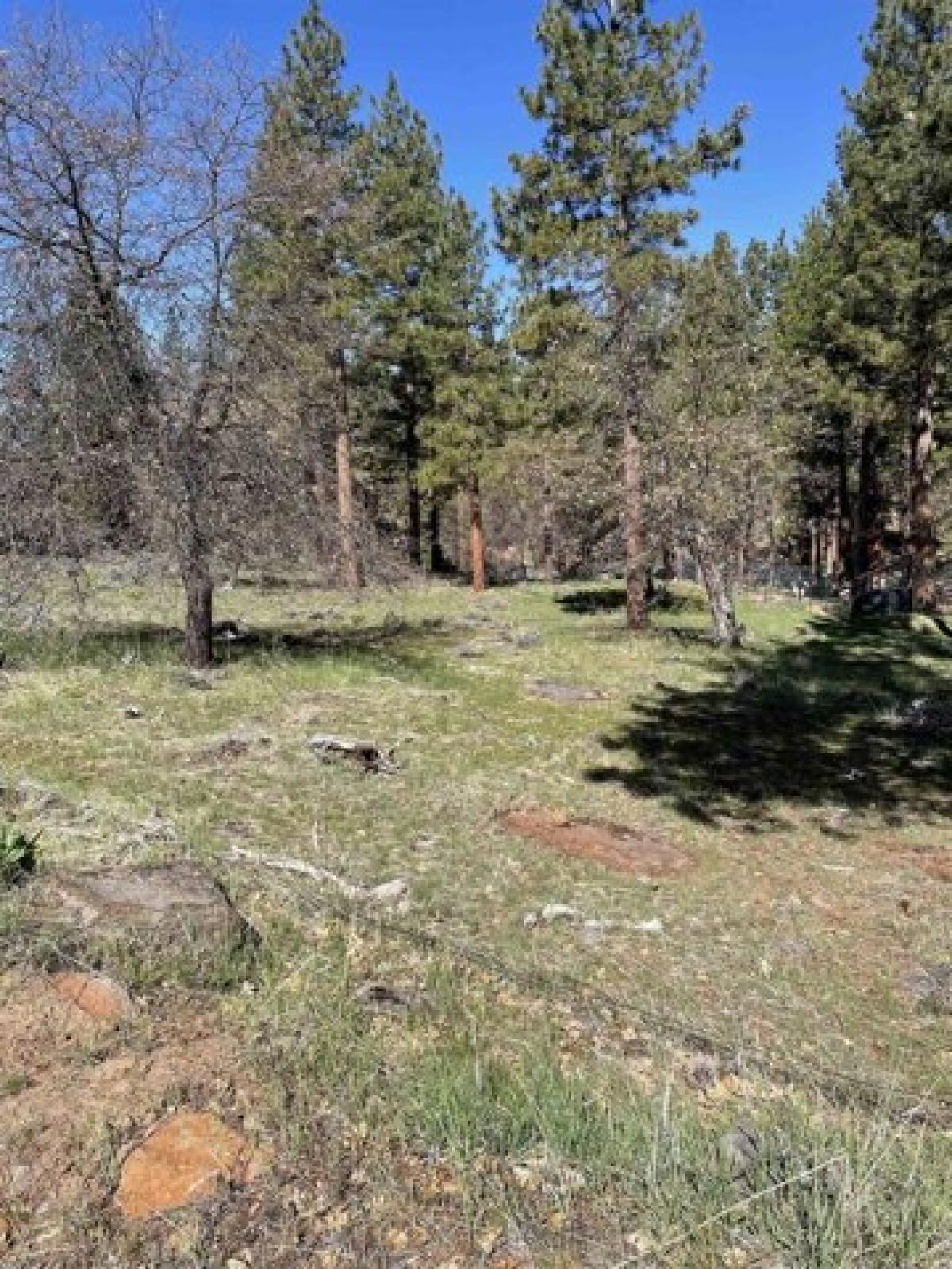 Picture of Residential Land For Sale in Susanville, California, United States