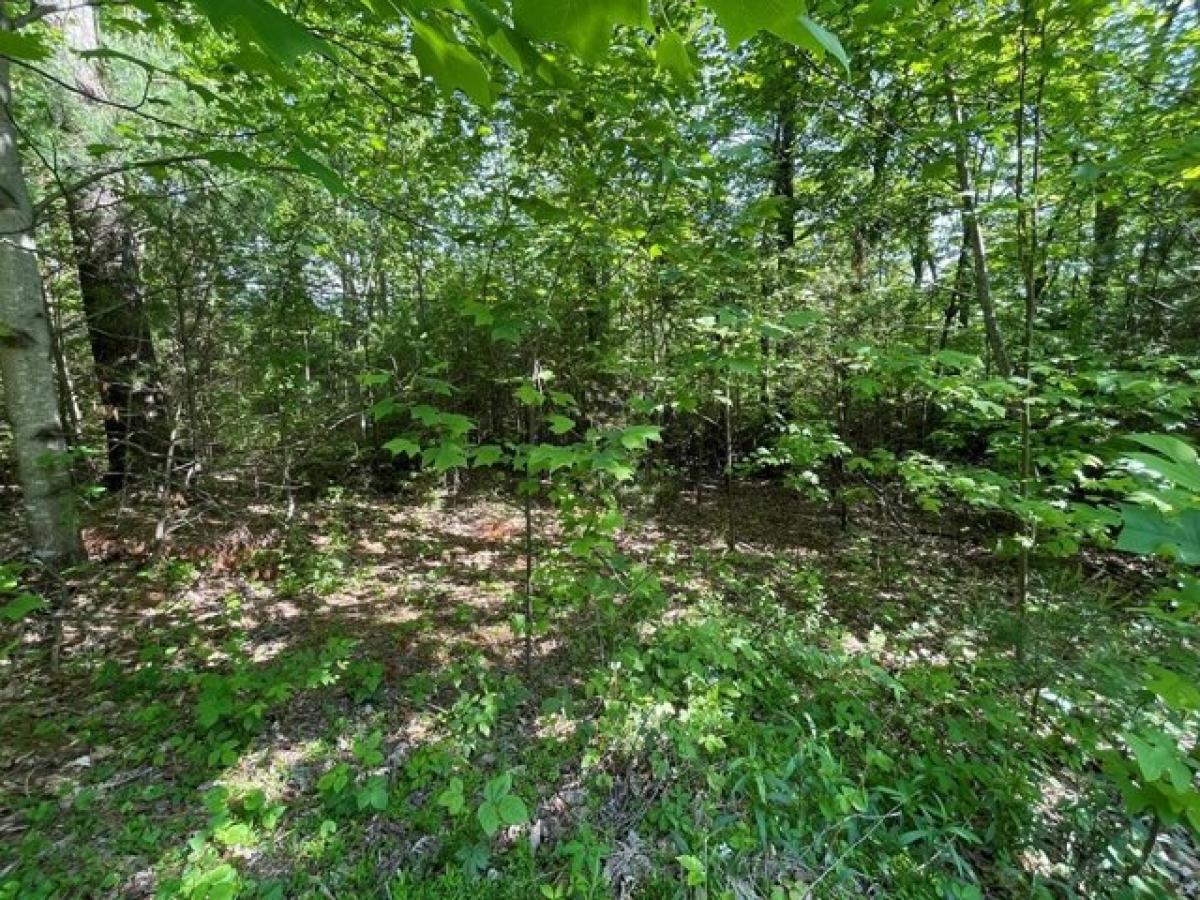 Picture of Residential Land For Sale in Hillsville, Virginia, United States