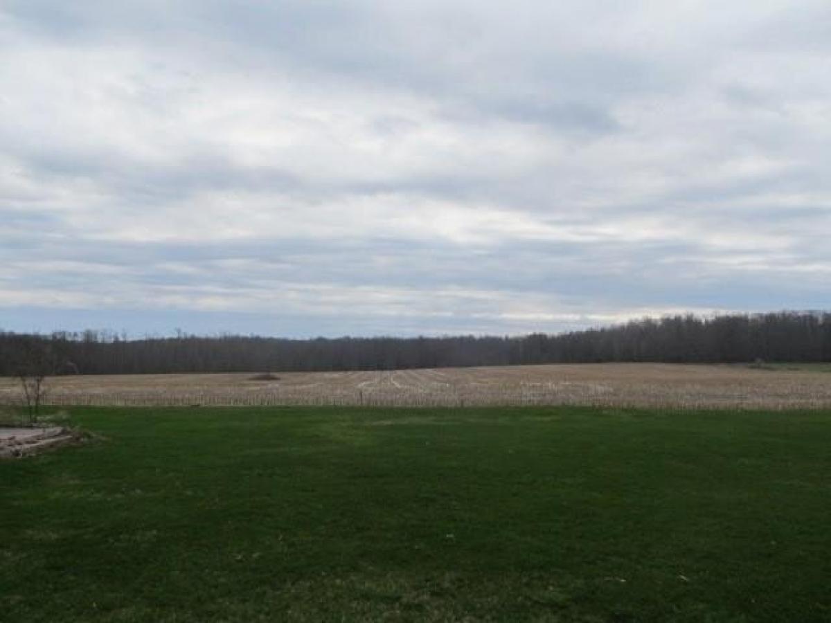 Picture of Residential Land For Sale in Exeland, Wisconsin, United States