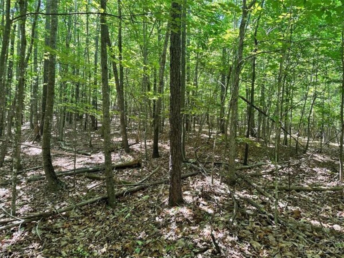 Picture of Residential Land For Sale in Nebo, North Carolina, United States