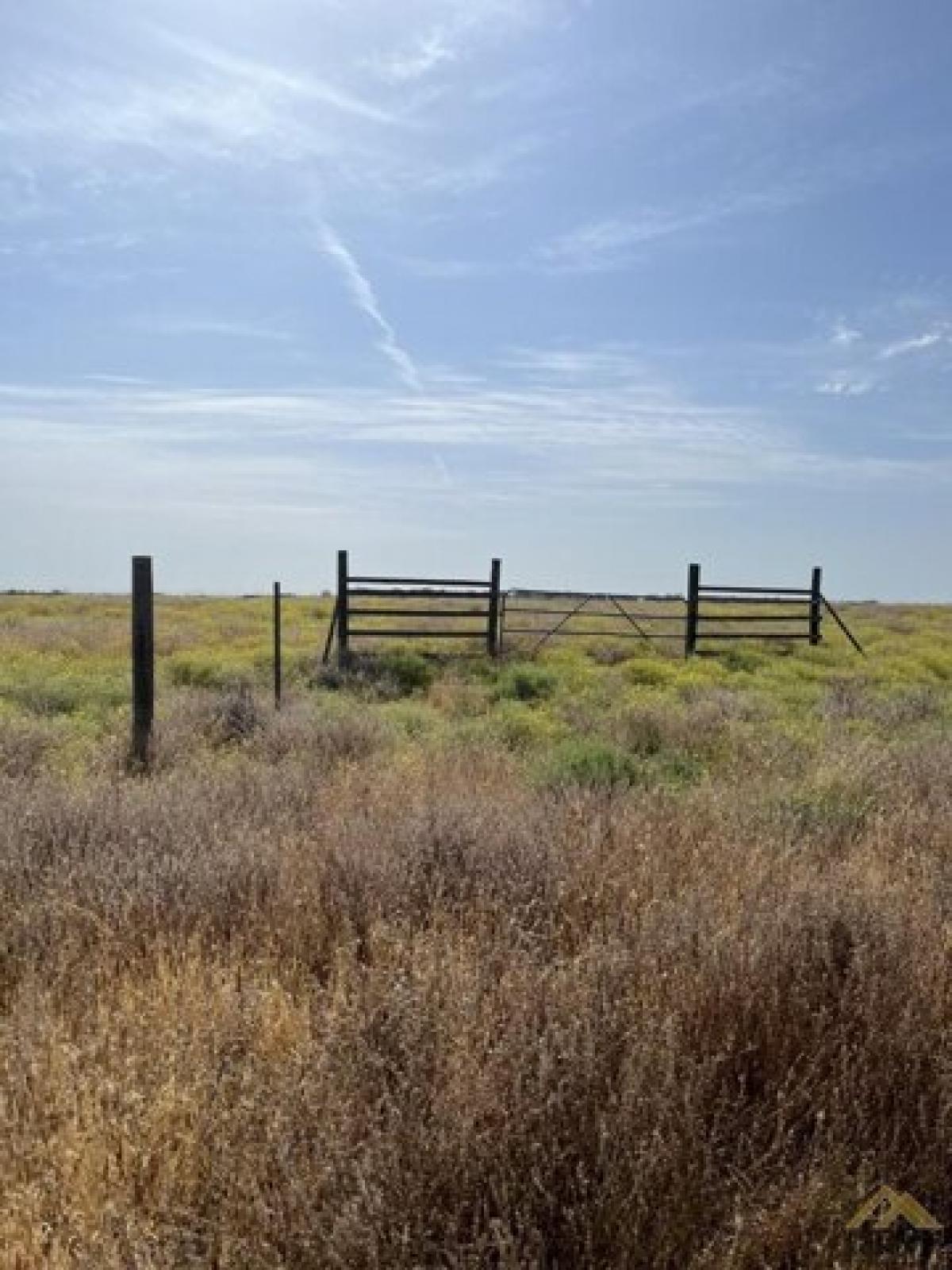 Picture of Residential Land For Sale in Lost Hills, California, United States