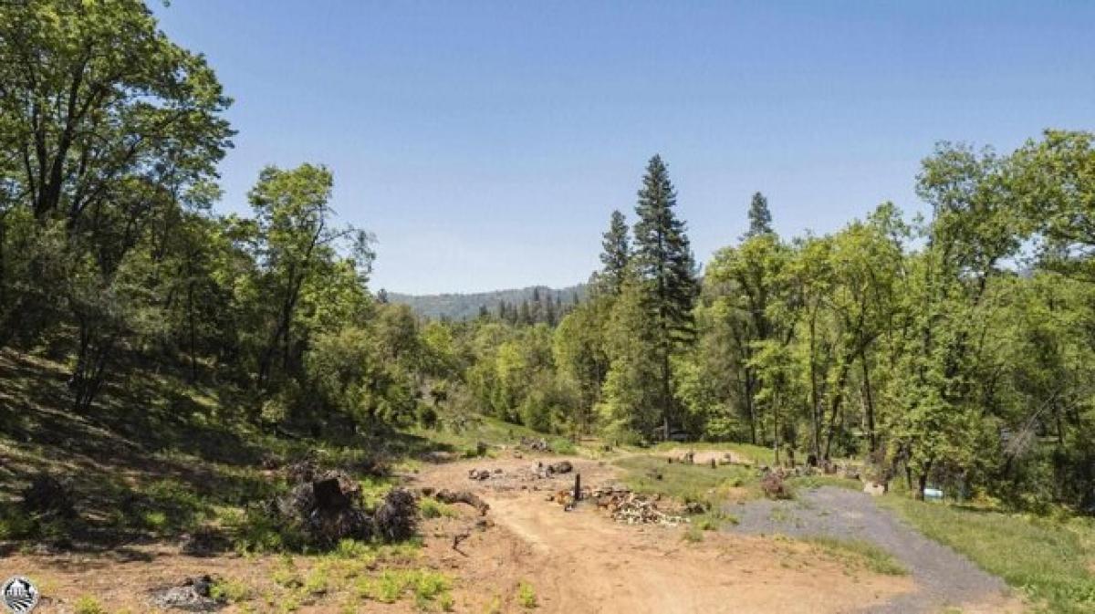 Picture of Residential Land For Sale in Sonora, California, United States