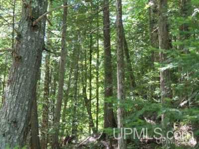 Residential Land For Sale in Ontonagon, Michigan