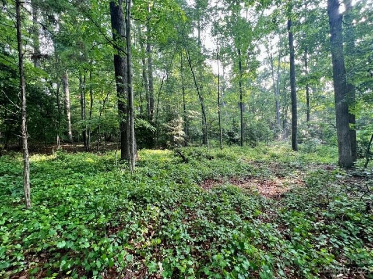 Picture of Residential Land For Sale in Taylorsville, North Carolina, United States