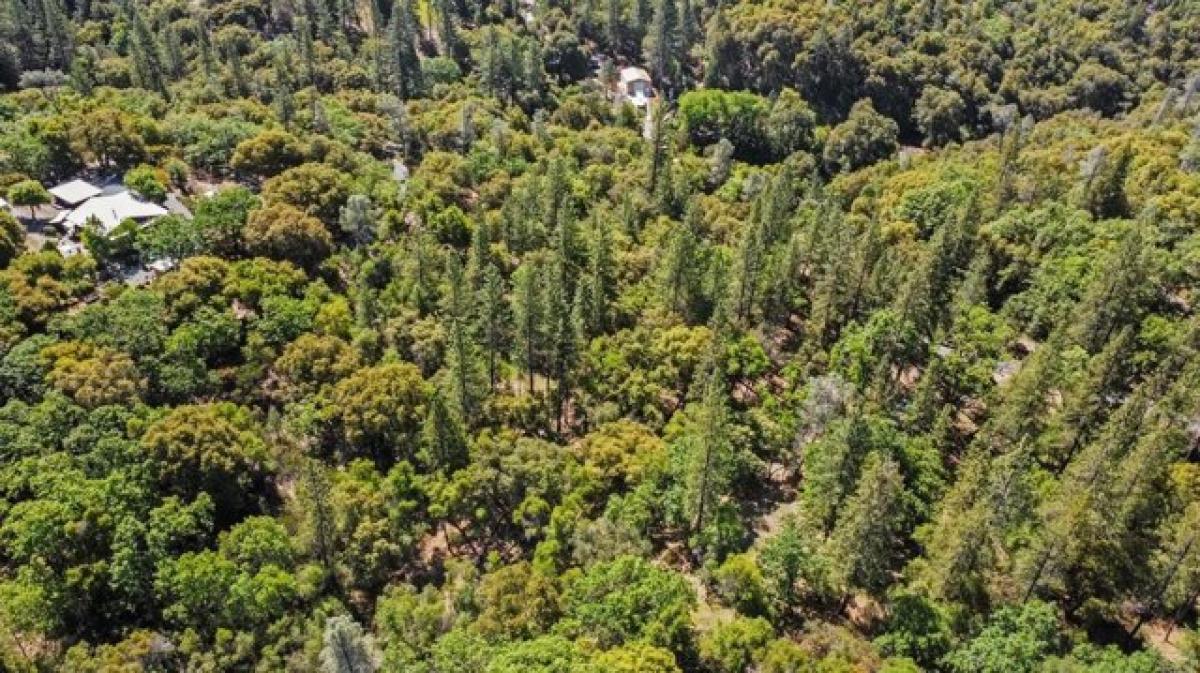 Picture of Residential Land For Sale in Sutter Creek, California, United States