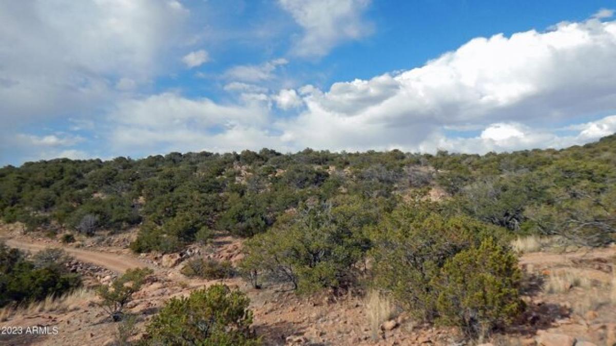 Picture of Residential Land For Sale in Bisbee, Arizona, United States