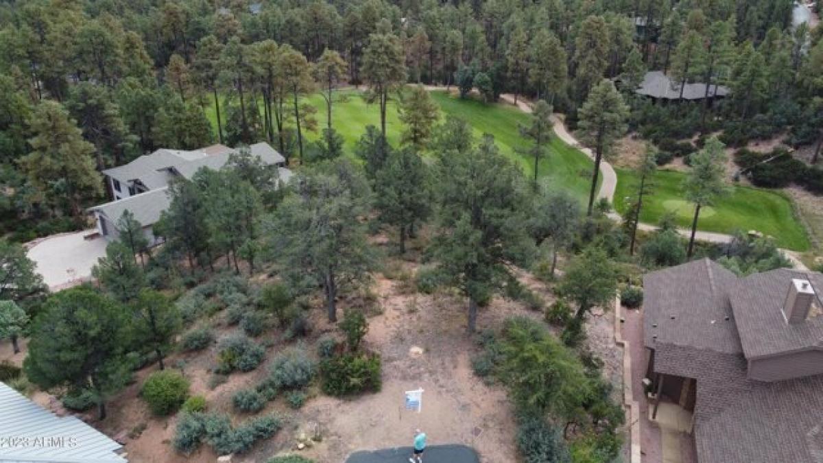 Picture of Residential Land For Sale in Payson, Arizona, United States