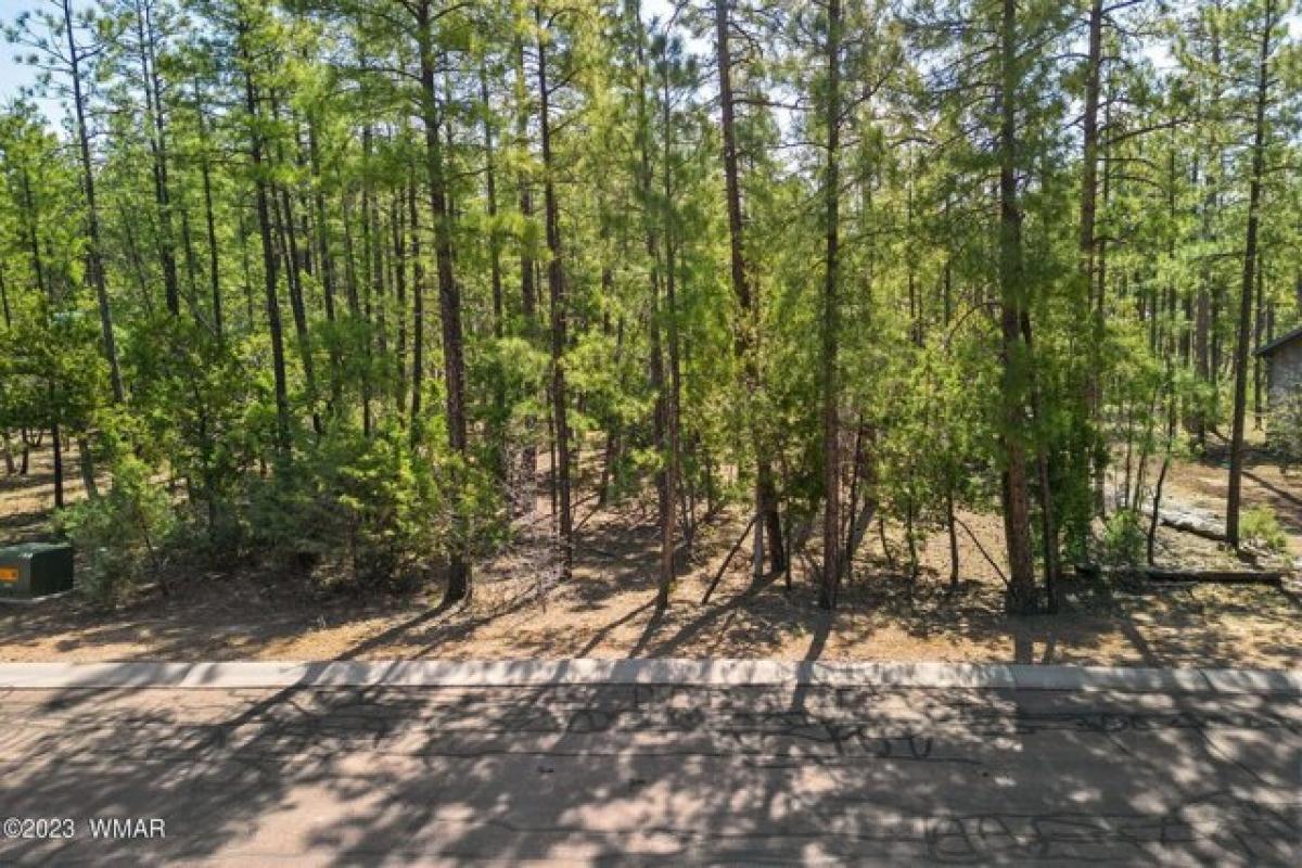 Picture of Residential Land For Sale in Pinetop, Arizona, United States