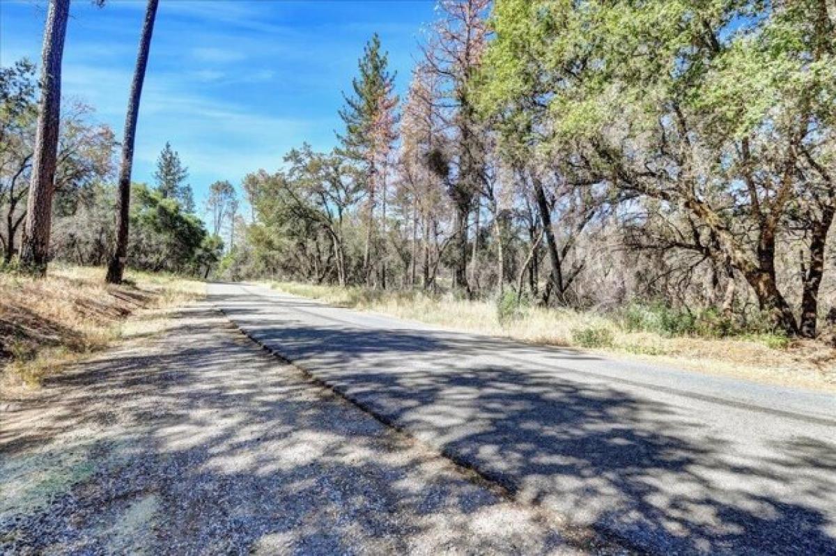 Picture of Residential Land For Sale in Oregon House, California, United States