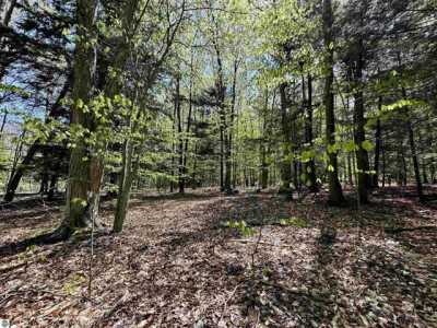 Residential Land For Sale in Beulah, Michigan