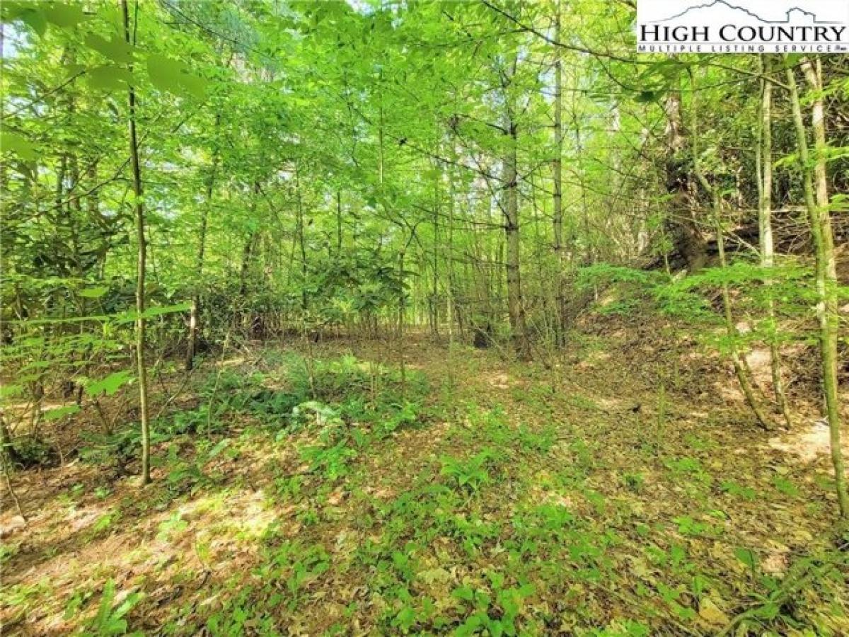 Picture of Residential Land For Sale in Crumpler, North Carolina, United States