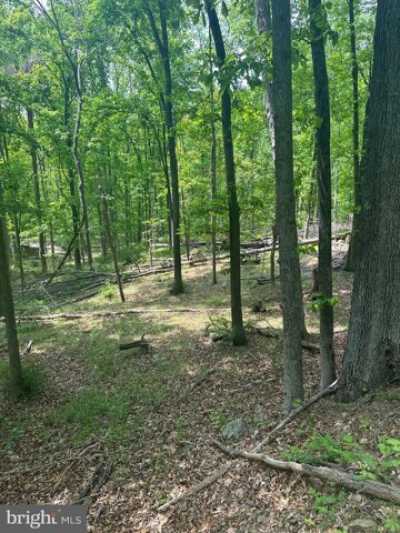 Residential Land For Sale in Great Cacapon, West Virginia