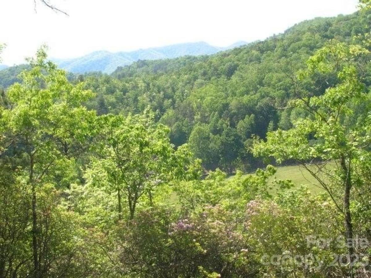 Picture of Residential Land For Sale in Bryson City, North Carolina, United States