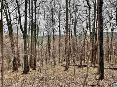Residential Land For Sale in Nellysford, Virginia