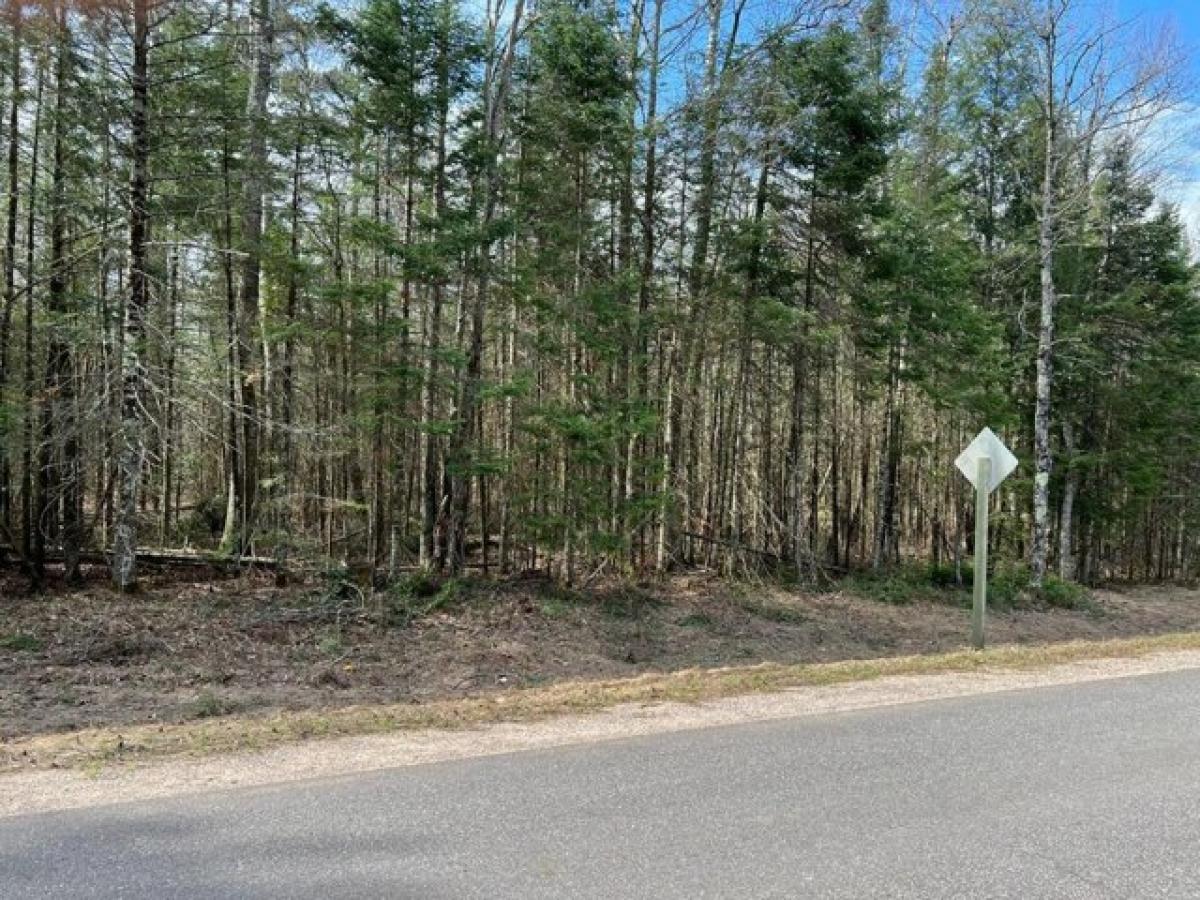Picture of Residential Land For Sale in Summit Lake, Wisconsin, United States