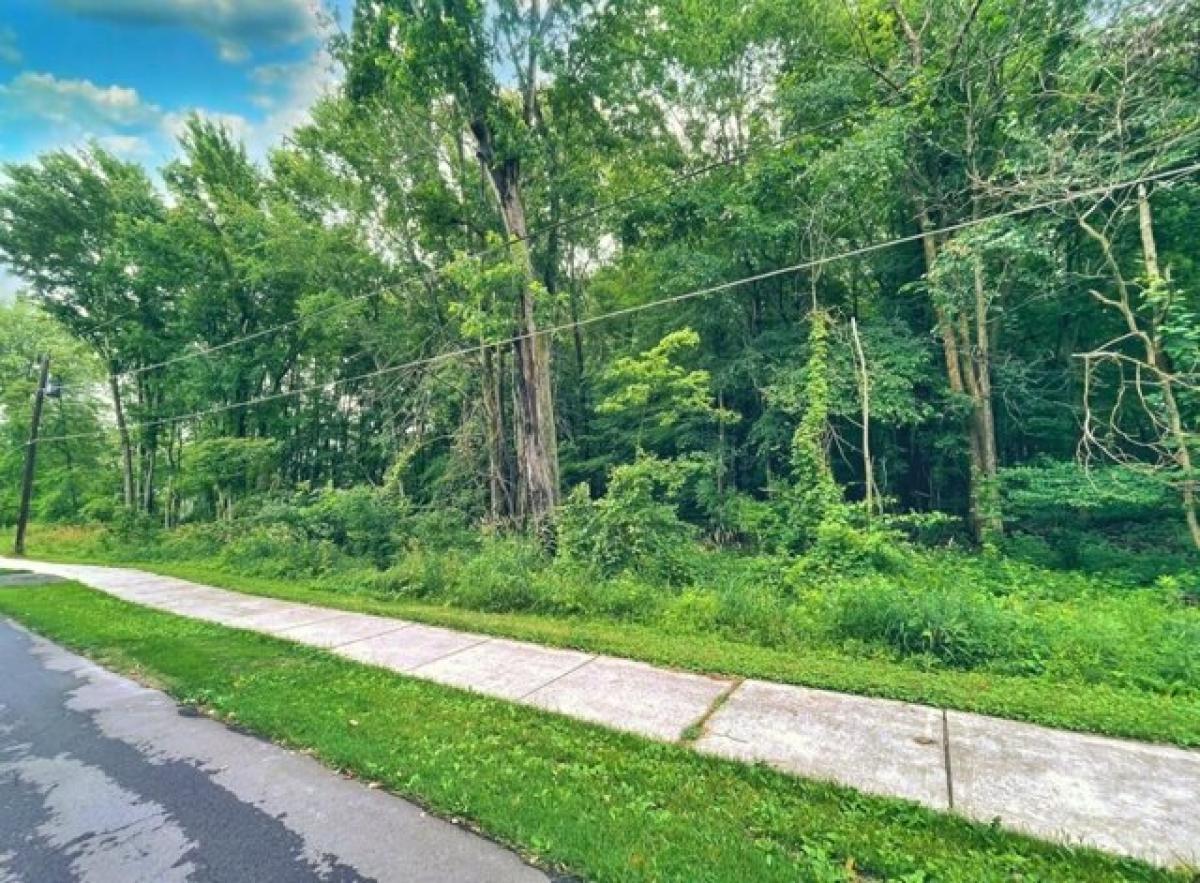 Picture of Residential Land For Sale in Watervliet, Michigan, United States